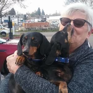 Meet your Posher, Judie